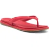 Sperry Isla Flip Flop In Pink