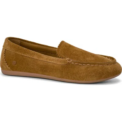Sperry Kids' Brynn Driver Moc Loafer In Brown