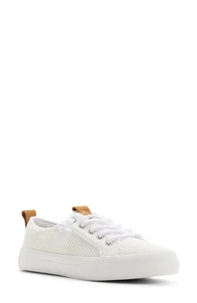Sperry Knit Sneaker In White