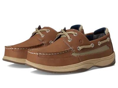 Sperry Lanyard (little Kid/big Kid) Boy's Shoes Dark Tan : 2.5 Little Kid M, Leather In Brown