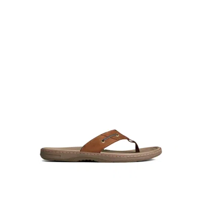 Sperry Men's Baitfish Leather Flip Flop Thong Sandals In Multi