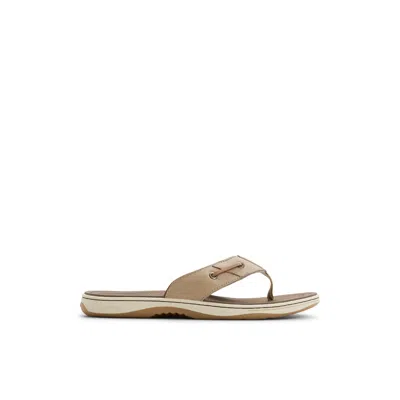 Sperry Men's Baitfish Thong Flip Flop Sandals In Multi