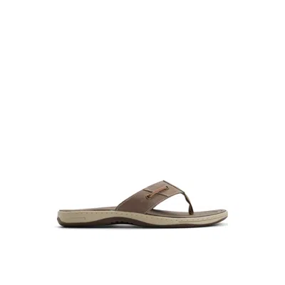 Sperry Men's Baitfish Thong Flip Flop Sandals In Multi