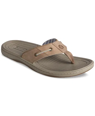 Sperry Men's Baitfish Thong Leather Sandals In Taupe