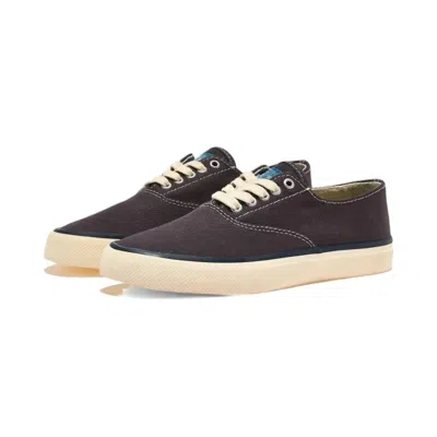 Sperry Men's Cloud Cvo Sneaker In Navy Canvas In Black