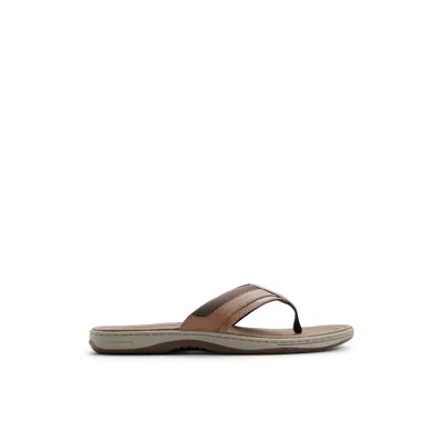 Sperry Men's Havasu Sport Flip Flop Thong Sandals In Brown