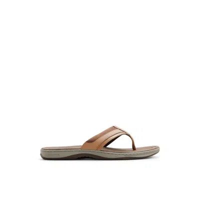Sperry Men's Havasu Sport Flip Flop Thong Sandals In Animal Print