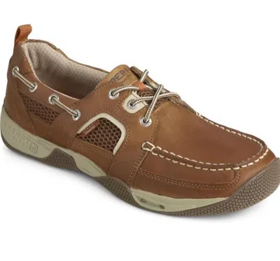 Sperry Men Sea Kite Shoe In Dark Tan In Multi