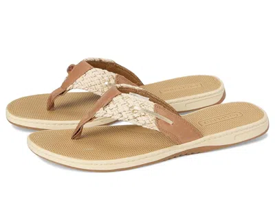 Sperry Parrotfish In Brown