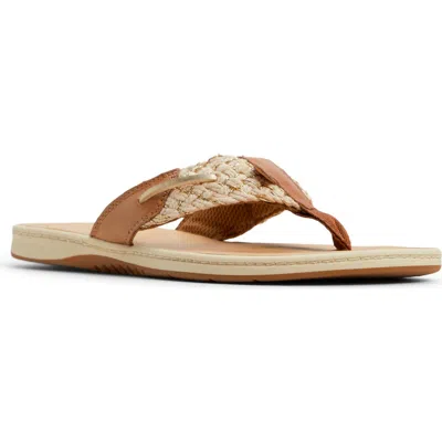 SPERRY SPERRY PARROTFISH SANDAL