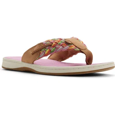 Sperry Parrotfish Sandal In Multi