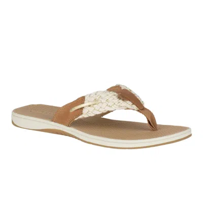 Sperry Parrotfish Sts82816 Thong Wome's Beige Braided Slip On Sandal Uwu910 In Brown