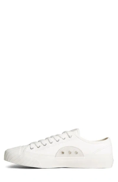 Sperry Racquet Sneaker In White