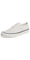 Sperry Classic Cvo Canvas Sneaker In White