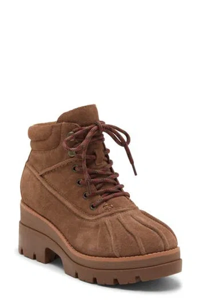 Sperry Rocky Hiker Boot In Brown