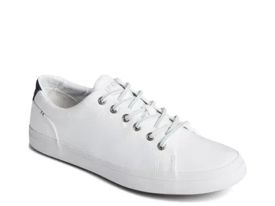 Sperry Seacycled Striper Ii Sneaker In White