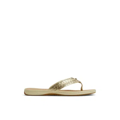 Sperry Seafish 3 Perforated Flip Flop In Gold