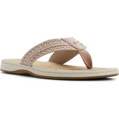 Sperry Seafish 3 Perforated Flip Flop In Brown
