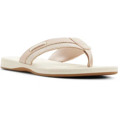 Sperry Sealfish Flip Flop In Multi