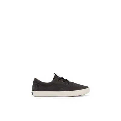 Sperry Spinnaker_jb In Brown