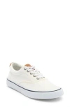 Sperry Striper Ii Cvo Sneaker In White