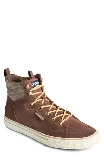 Sperry Striper Storm Waterproof Hiking Boot In Brown