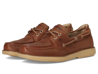 Sperry Surveyor 2 Eye In Brown