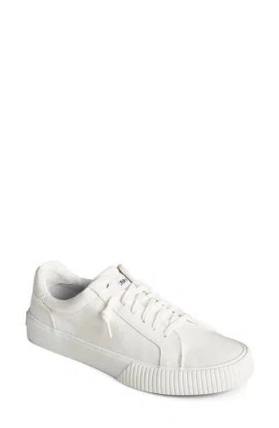 Sperry Top-sider® Bermuda Ltt Sneaker