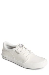 Sperry Top-sider® Sperry Crossjack Sneaker In White