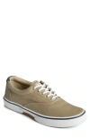 Sperry Top-sider® Sperry Halyard Cvo Recycled Cotton Sneaker In Khaki
