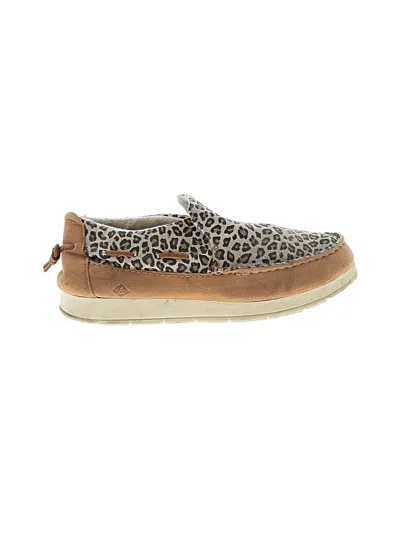Pre-owned Sperry Top-sider® Flats Brown Animal Print Pattern Shoes