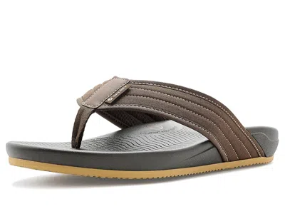 Sperry Ventura Cas In Brown