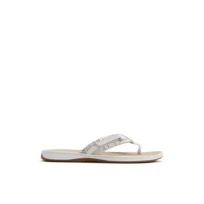 Sperry Women's Seafish 1 Thong Flip Flop Sandals In White