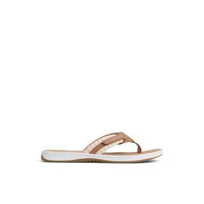 Sperry Women's Seafish 1 Thong Flip Flop Sandals In Brown