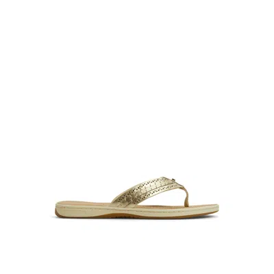 Sperry Women's Seafish 3 Flip Flop Thong Sandals In Gold