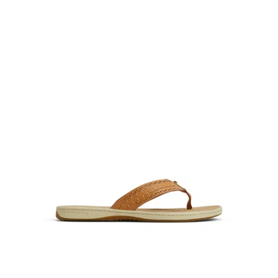 Sperry Women's Seafish 3 Flip Flop Thong Sandals In Orange