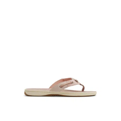 Sperry Women's Seafish Flip Flop Thong Sandals In Rose