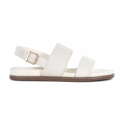 Sperry Women's Waveside Back Strap Sandals In Ivory In White