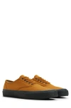 Sperry X Colour Plus Companie Cvo Sneaker In Brown