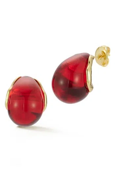 Sphera Milano Resin Hoop Earrings In Multi