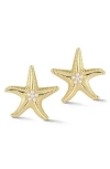 Sphera Milano Starfish Stud Earrings In Gold