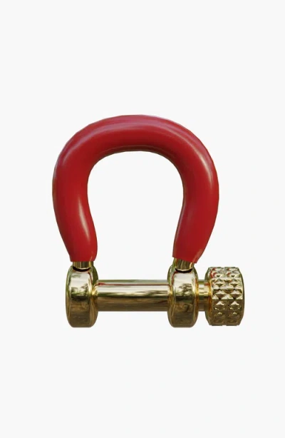 Spicy Dan Carabiner In Pink