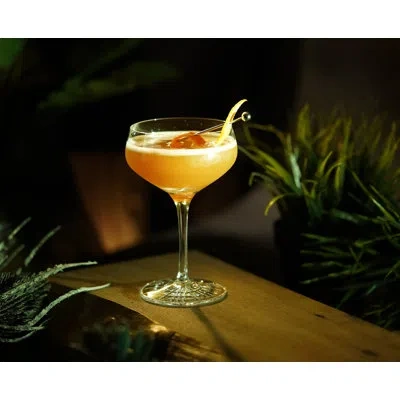Spiegelau Perfect Serve Coupette Glass