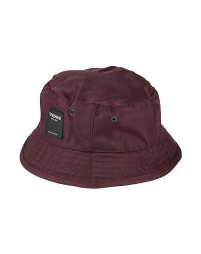 Spiewak Man Hat Chocolate Brown Size L Polyamide