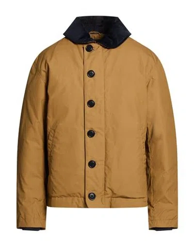 Spiewak Man Jacket Camel Size L Cotton In Brown