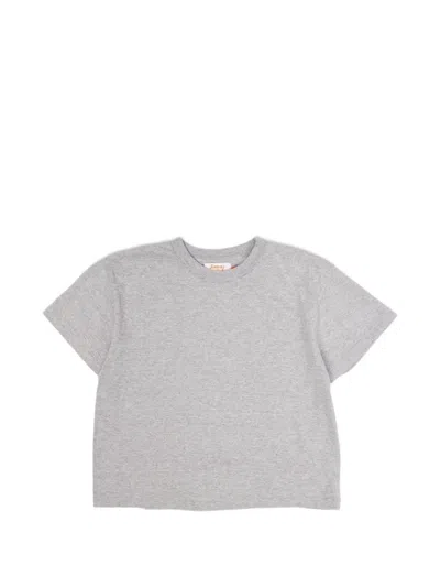 Spirit Hi'aka T-shirt In Gray