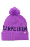 Spiritual Gangster Carpe Diem Pompom Beanie In Purple