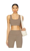 Spiritual Gangster Delmar Longline Bra In Shroom