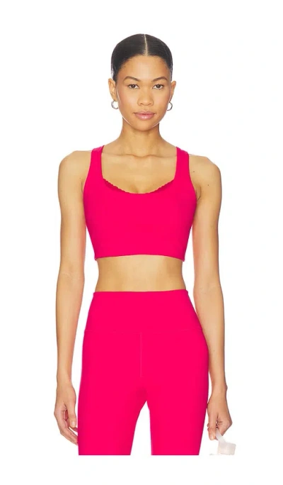 Spiritual Gangster Harmony Lace Bra In Pink