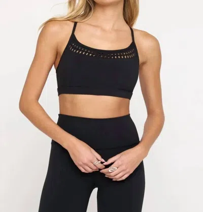 Spiritual Gangster Kalin Crochet Inset Bra In Black